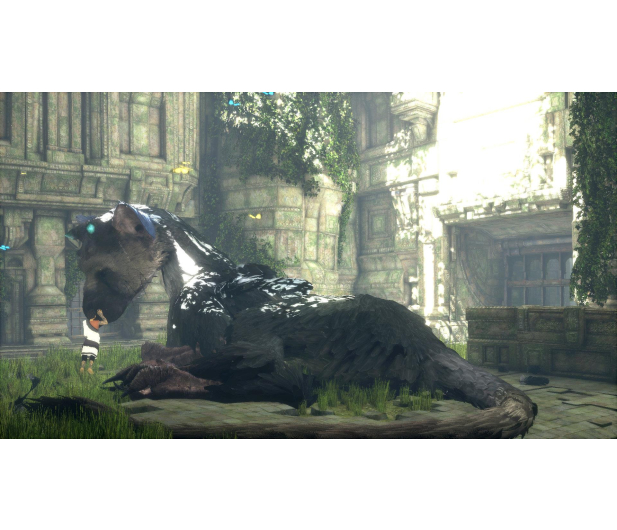 Sony The Last Guardian - 339120 - zdjęcie 3